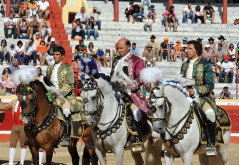 Imagens da corrida na Figueira da Foz   03-08-2014