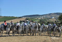 ARRUDA dos VINHOS   14-08-2014   17h30