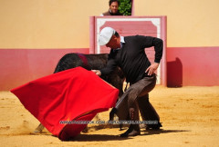 TENTA DA GANADARIA CANAS DE VIGOUROUX