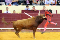 Campo Pequeno   5-7-2012