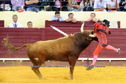 Campo Pequeno   5-7-2012