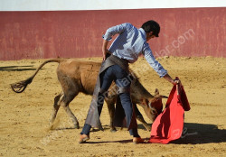 Tenta na Ganadaria de Pinto Barreiros 