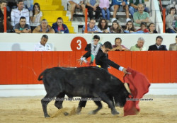 Boa novilhada a abrir a Feira de Alcochete