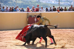 JOÃO MARTINS DA ESCOLA JOSÉ FALCÃO, TOUREIA EM ANTEQUERA (MÁLAGA) 