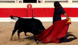 Alegrete e Belmonte treinam para o festival em Alcochete