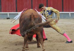 ANTÓNIO JOÃO FERREIRA SAIU A OMBROS EM LA SOLANA ( CIUDAD REAL)