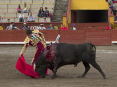 Frederico  Pizarro na Monumental de  Toiros Apizaco