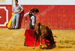 FESTA  de  CAMPO  -  ARRUDA  14-08-2014