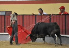  Fim de semana de João Martins