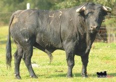 Salvaterra de Magos Recebe este Domingo a Corrida do MelãoINF
