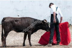 Sérgio Nunes em Vila Boim