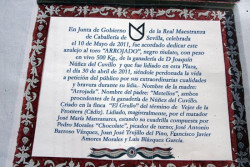 Azulejo para a recordar o Toiro “ Arrojado”