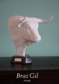 Troféu João Villaverde