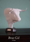 Troféu João Villaverde