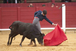 Carlos Ochoa, proclamado triunfador del  IV Bolsín  “Tierras de Zamora”  
