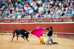 Sérgio Nunes ovacionado em Huelva