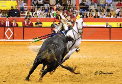 Sete Corridas para João Moura Jr. até ao final do mês