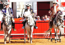DINASTIA CORTES RECONQUISTA ESTREMOZ 