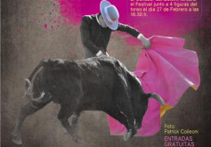 VII BOLSIN DA VILA DE CANDELEDA (Ávila - Espanha)