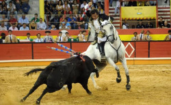 VILA FRANCA ANUNCIA CORRIDA DO TOMATE