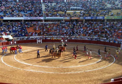 FEIRA DE SAN CRISTOBAL 2016 (VENEZUELA). PARTICIPAÇÃO PORTUGUESA DE FELIPE GONÇALVES E FORCADOS DE SÃO MANÇOS.