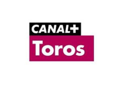CANAL TOROS TV EM DIRECTO DESDE VALDEMORILLO E VISTALEGRE (Madrid)