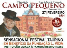 Campo Pequeno solidário no combate à fome em Moçambique