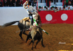 FRANCISCO PALHA ACIDENTE ESTA MANHÃ