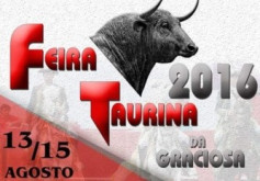 FEIRA TAURINA DA GRACIOSA 2016
