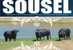 2ª FEIRA DE PÁSCOA É EM SOUSEL