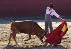 Pedrito em grande
