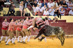 Real Grupo de Forcados Amadores de Moura inicia a temporada dos 45 anos no Campo