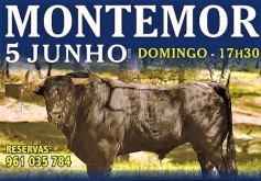 Montemor o Novo já se encontra rematado.