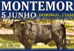 Montemor o Novo já se encontra rematado.