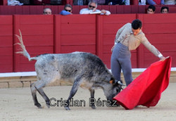 CRISTIAN PÉREZ TRIUNFADOR DEL V BOLSÍN “TIERRAS DE ZAMORA”