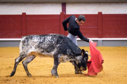 Sérgio Nunes na final do Bolsín de Alba de Tormes