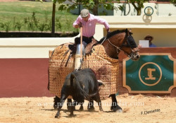 Roca Rey na ganadaria de  Luís Filipe Cochicho.
