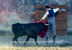 PEDRITO DE PORTUGAL COLHIDO