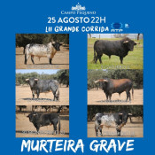 O imponente curro de Murteira Grave apresentado pelo próprio Ganadero 