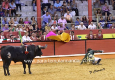 Marcos Bastinhas reaparece em ABIUL a 19 de Agosto!!!