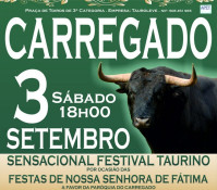 FESTIVAL SOLIDÁRIO A 3 DE SETEMBRO NO CARREGADO
