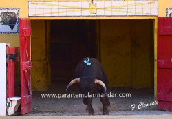 Moita do Ribatejo 14-09-2016