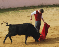 El Juli tentou na 