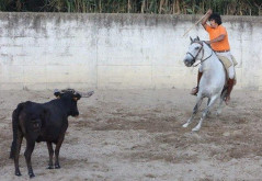 Parreirita leva com grande empenho e responsabilidade o seu Doutoramento... 