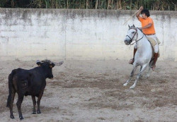 Parreirita leva com grande empenho e responsabilidade o seu Doutoramento... 