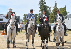Serpa  -  Festival Taurino  - 2017 