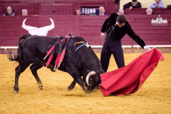 Subscreva o Abono do Campo Pequeno e veja em Lisboa os triunfadores de Sevilha.  