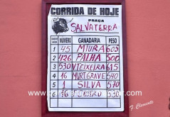 Ganadaria Murteira Grave vence Prémios de Bravura e Apresentação