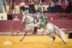 Luís Rouxinol Jr.: Alternativa esta quinta-feira, no Campo Pequeno