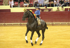 Recortadores Arte - Lusa 
